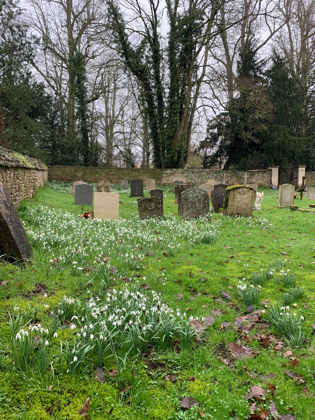 WhatsApp Image 2026-02-13 at 1